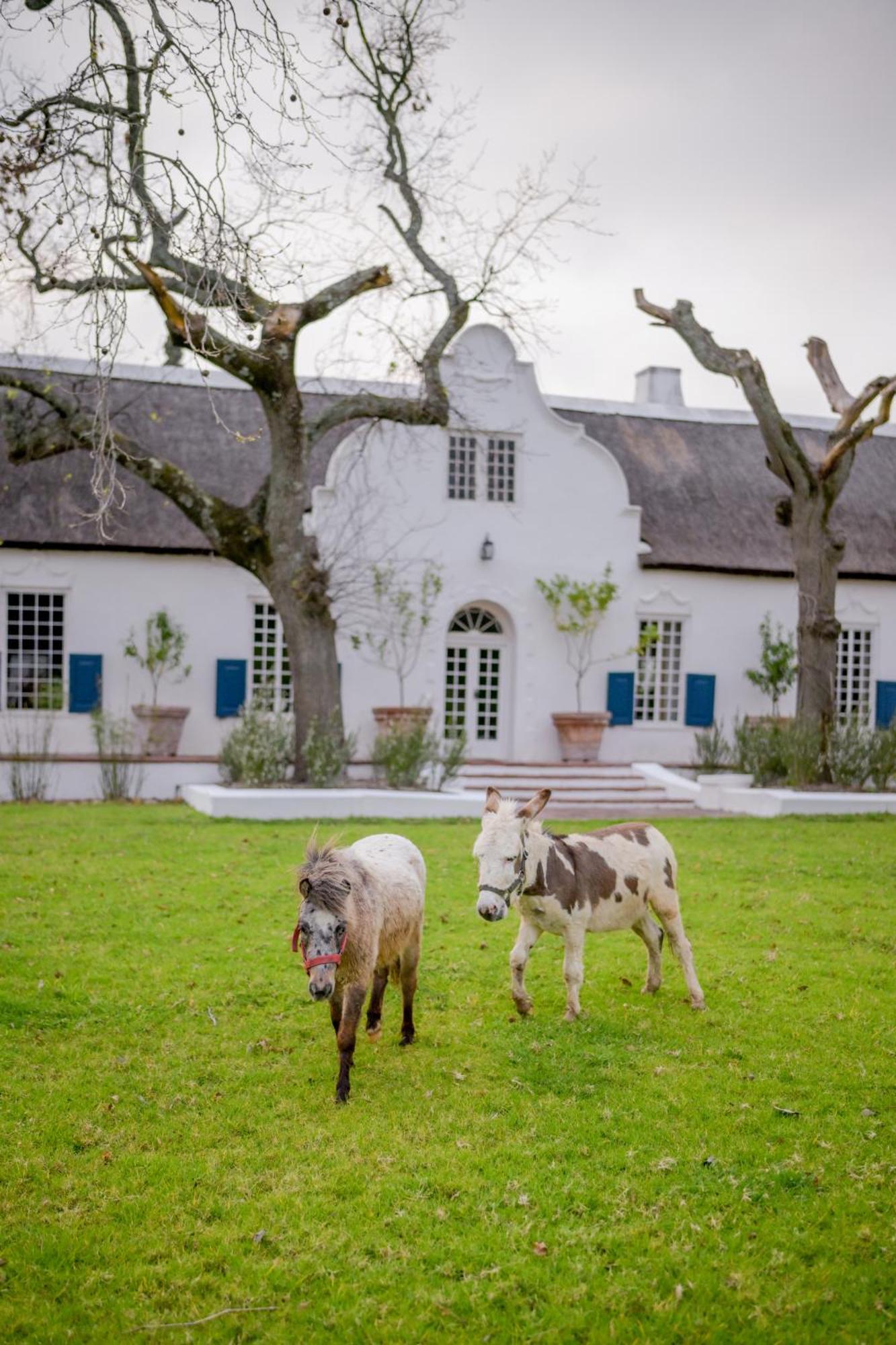 San Gabriel Homestead Somerset West Exteriér fotografie