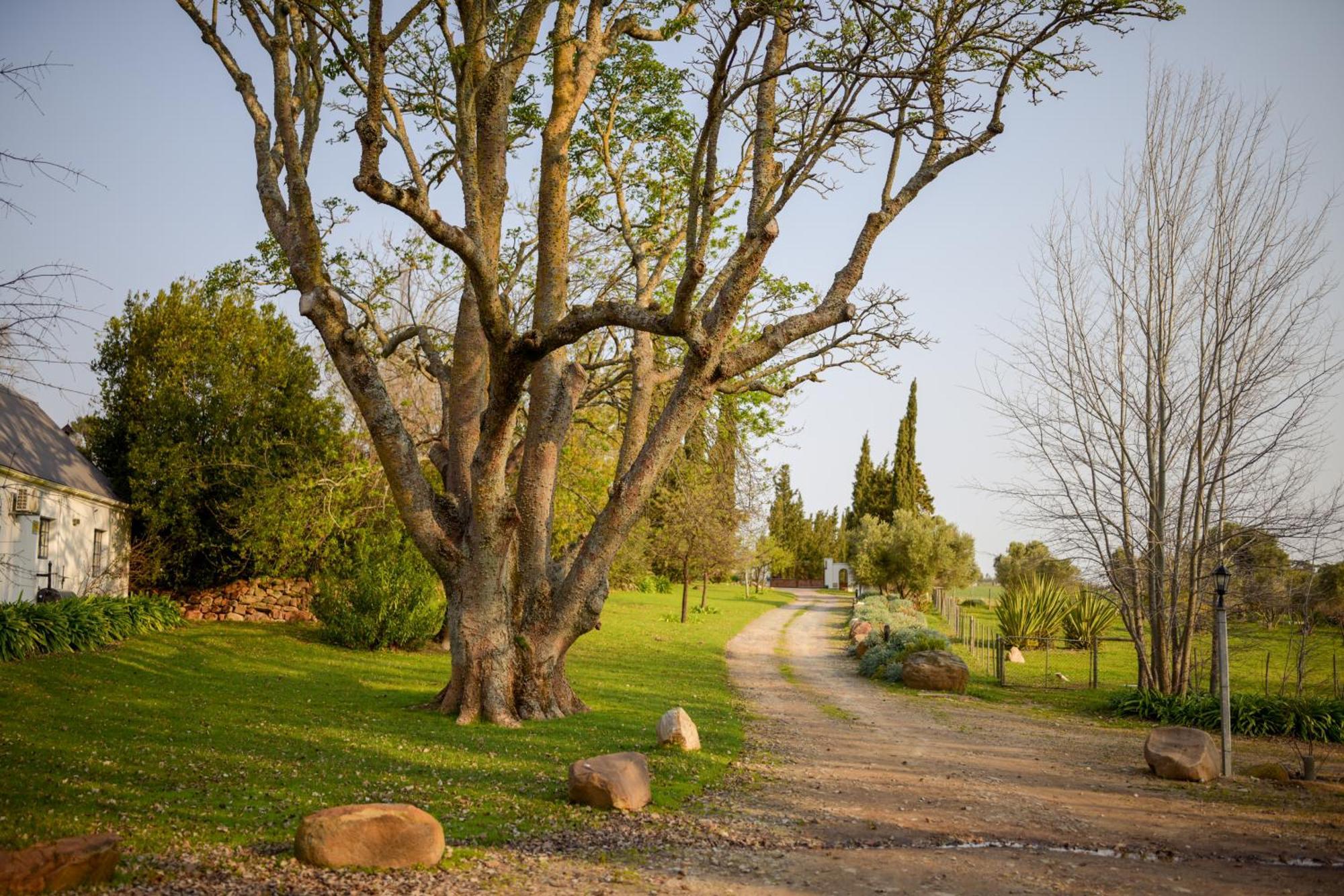 San Gabriel Homestead Somerset West Exteriér fotografie